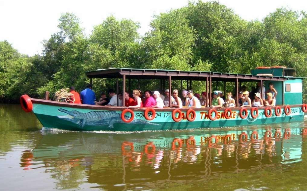 Crocodile Trip & Bird Watching Package in Goa