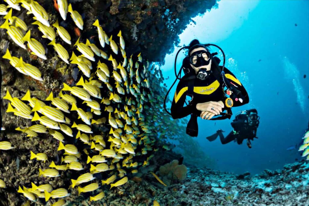 Scuba Diving in Goa