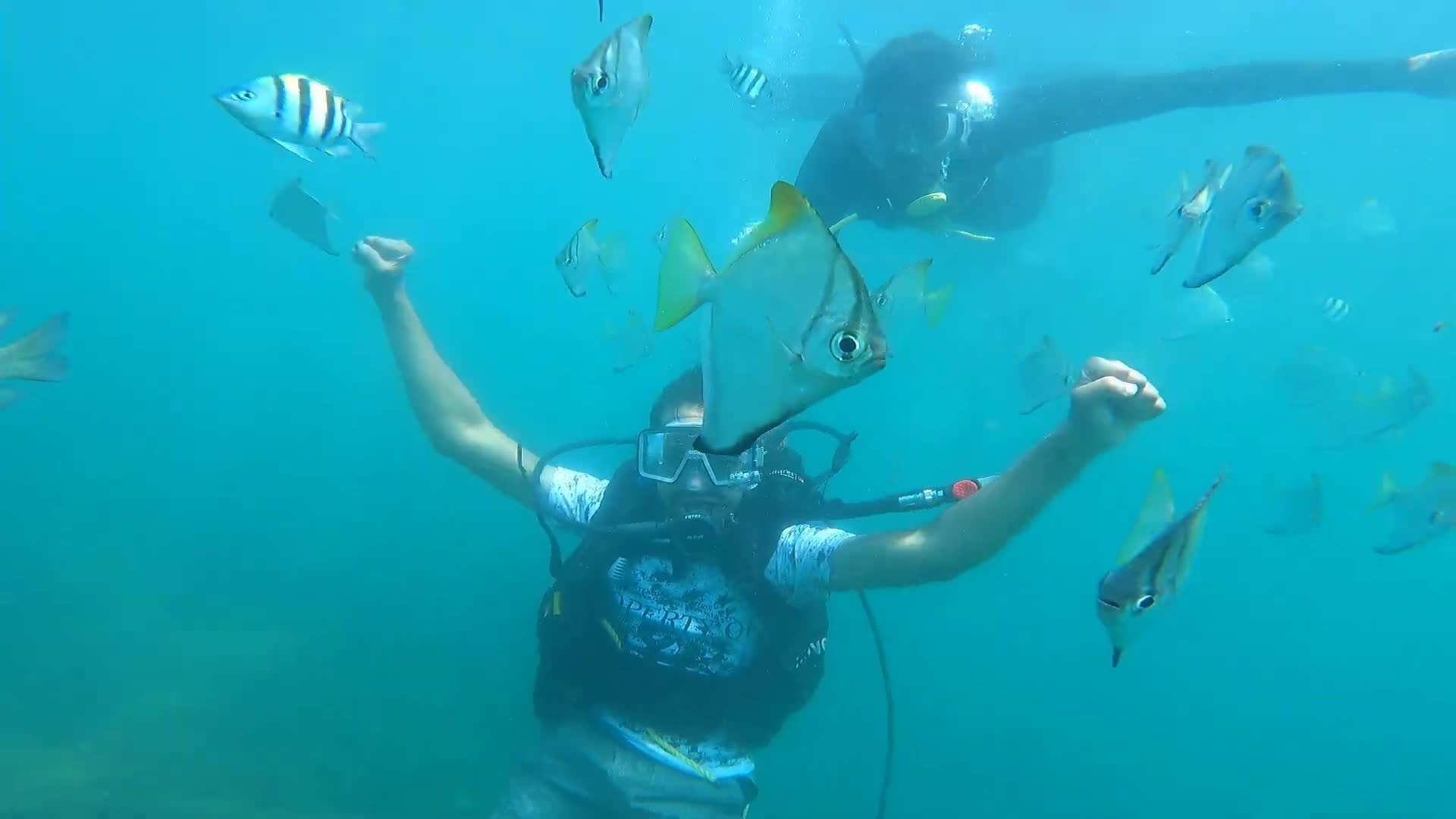 Scuba Diving at Querim Beach