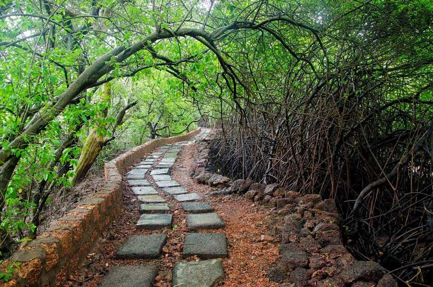 A Nature Trail to Chorao Island